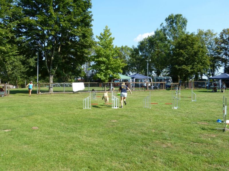 Sommerfest 2019