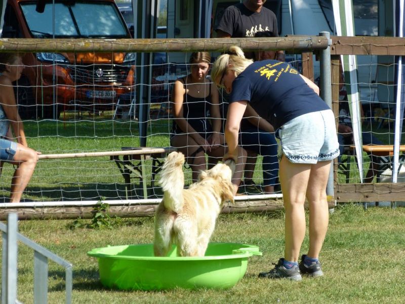 Sommerfest 2019