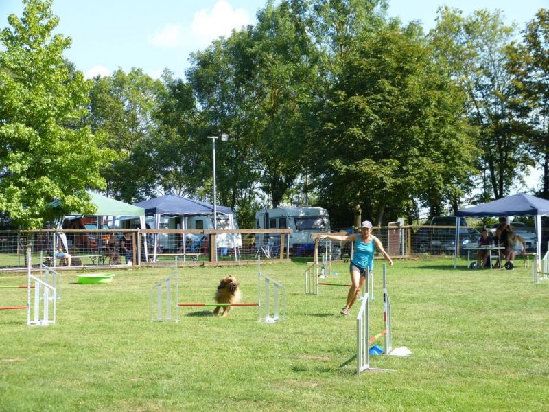 Sommerfest 2019