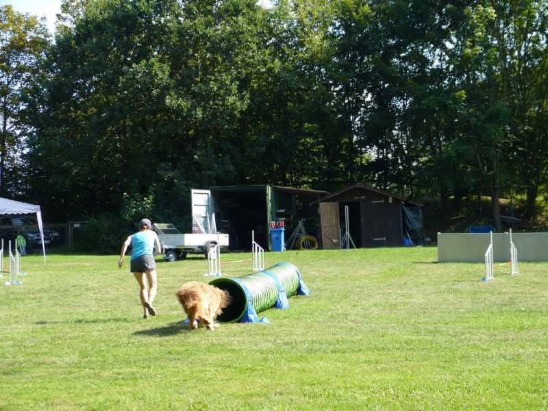 Sommerfest 2019