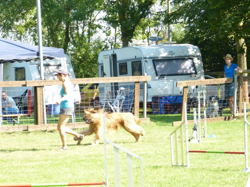 Sommerfest 2019
