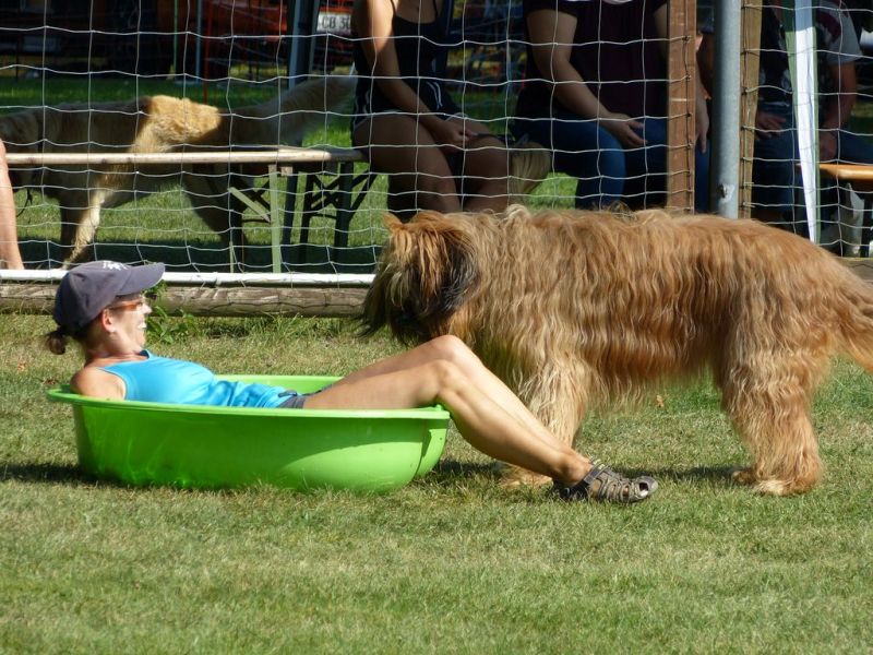 Sommerfest 2019