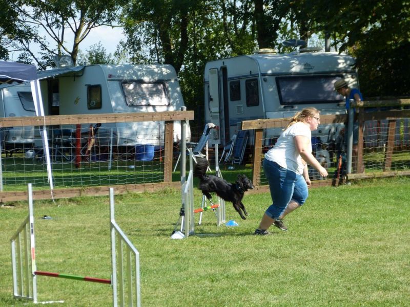 Sommerfest 2019