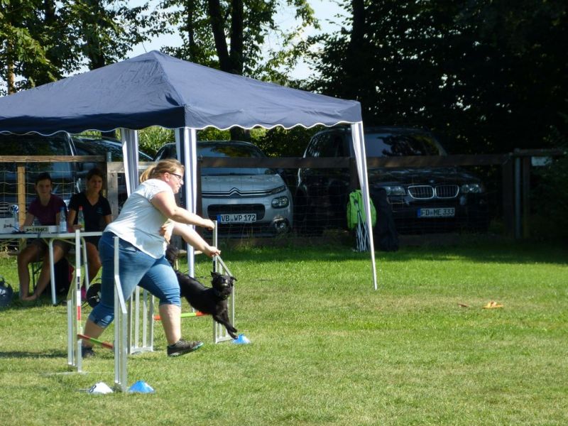 Sommerfest 2019