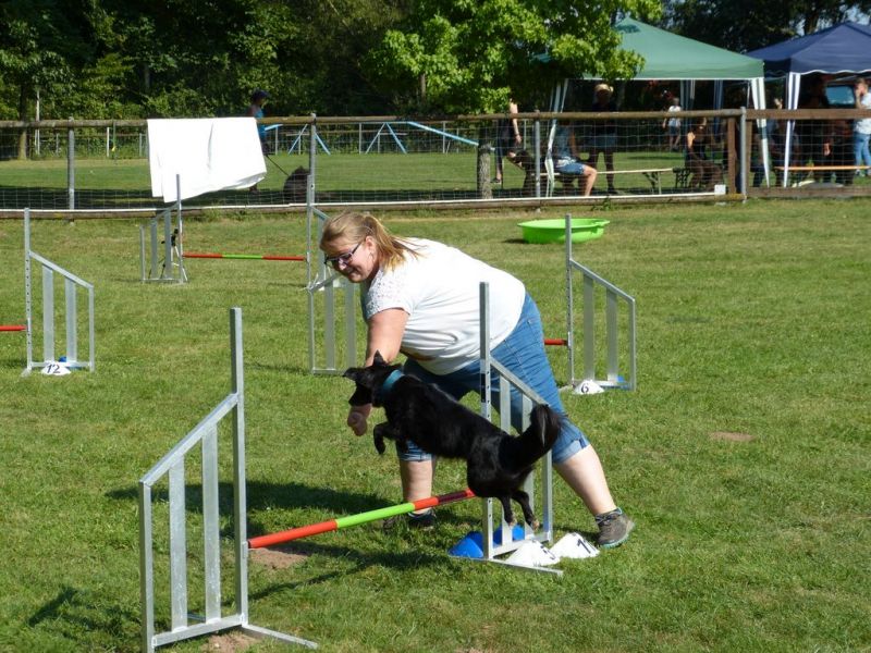Sommerfest 2019