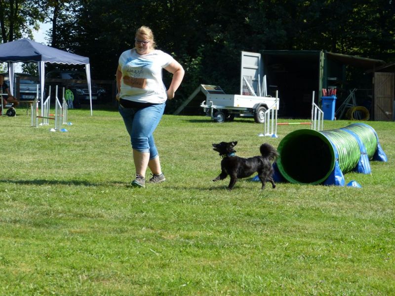 Sommerfest 2019