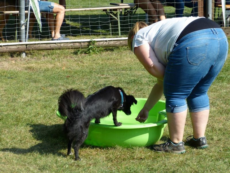 Sommerfest 2019