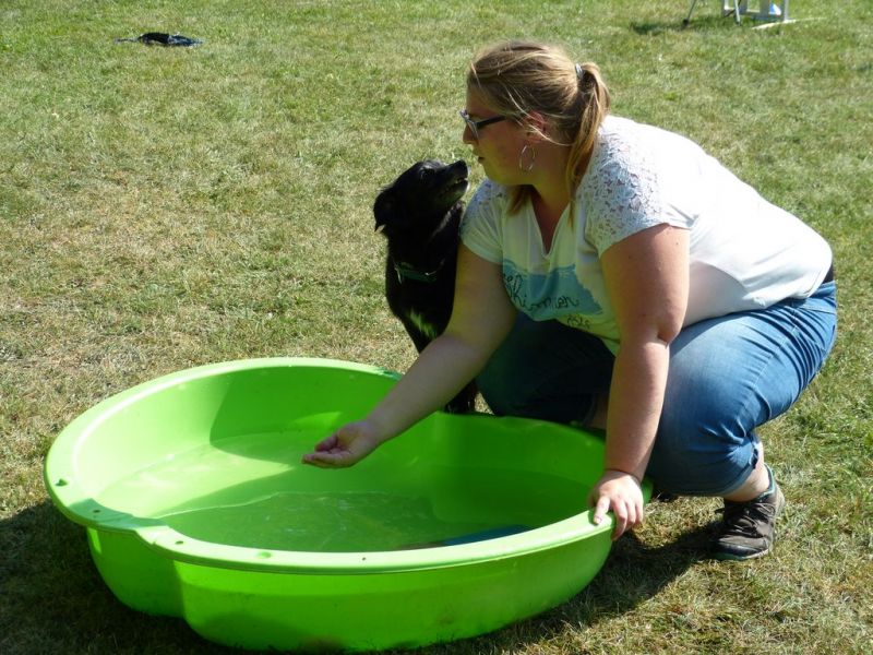 Sommerfest 2019