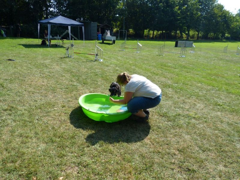 Sommerfest 2019