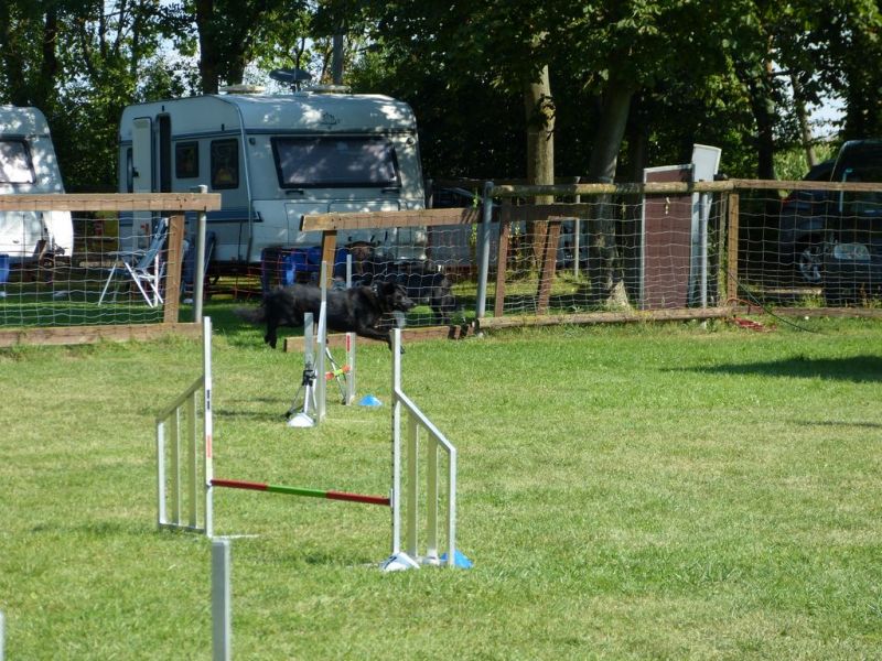 Sommerfest 2019