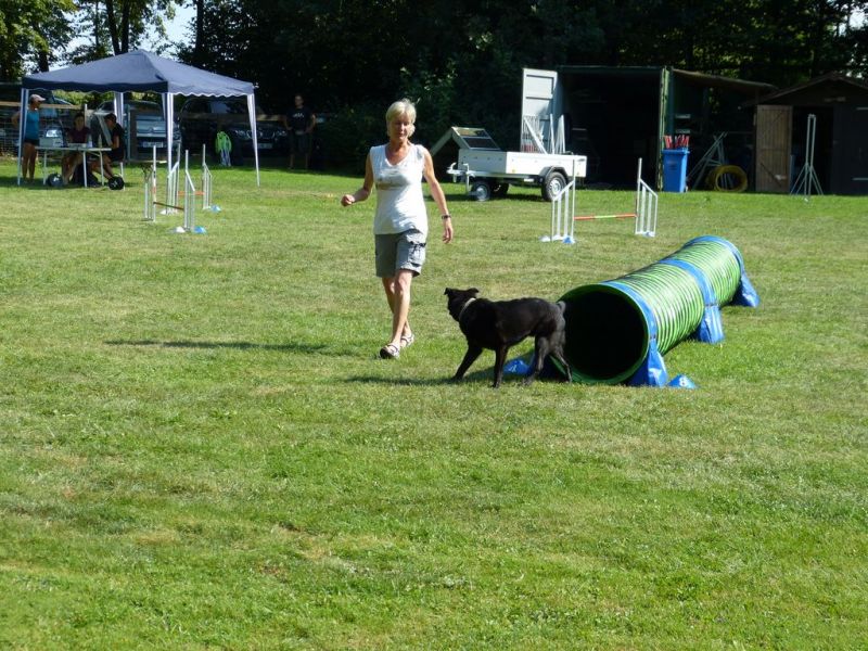 Sommerfest 2019