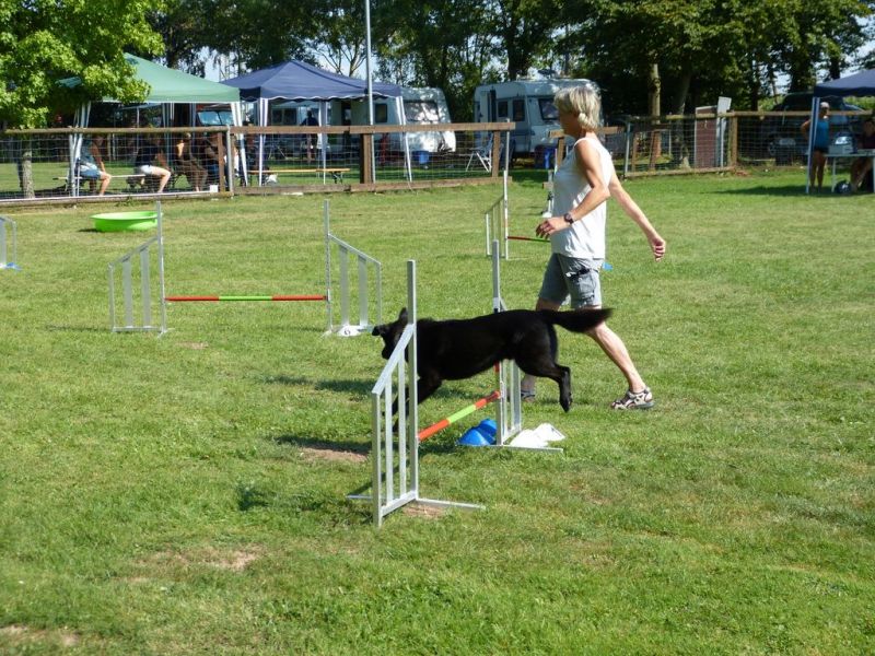Sommerfest 2019
