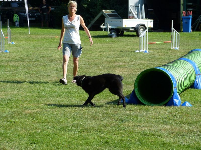 Sommerfest 2019