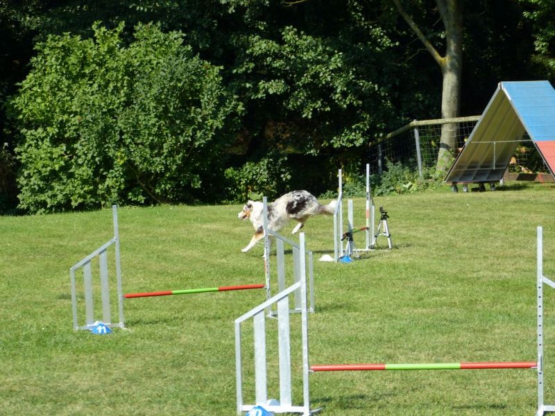 Sommerfest 2019