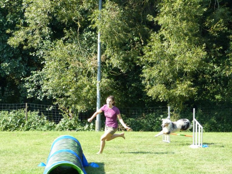 Sommerfest 2019