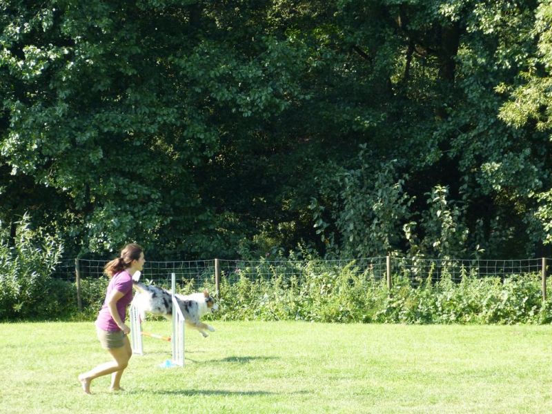 Sommerfest 2019