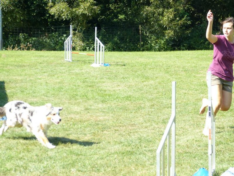 Sommerfest 2019