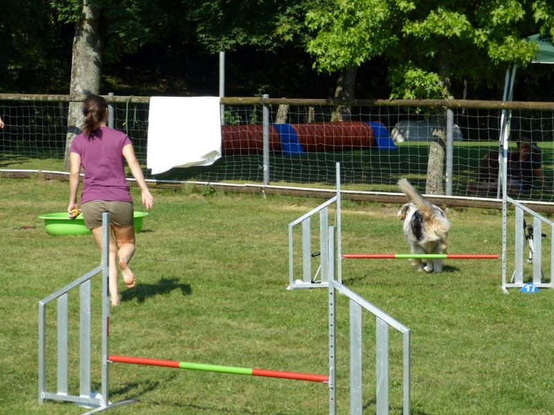 Sommerfest 2019