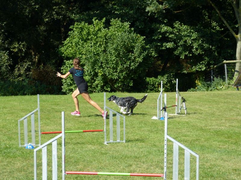 Sommerfest 2019