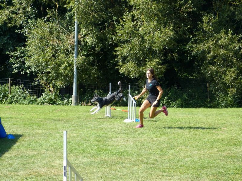 Sommerfest 2019