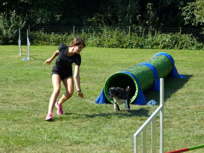 Sommerfest 2019