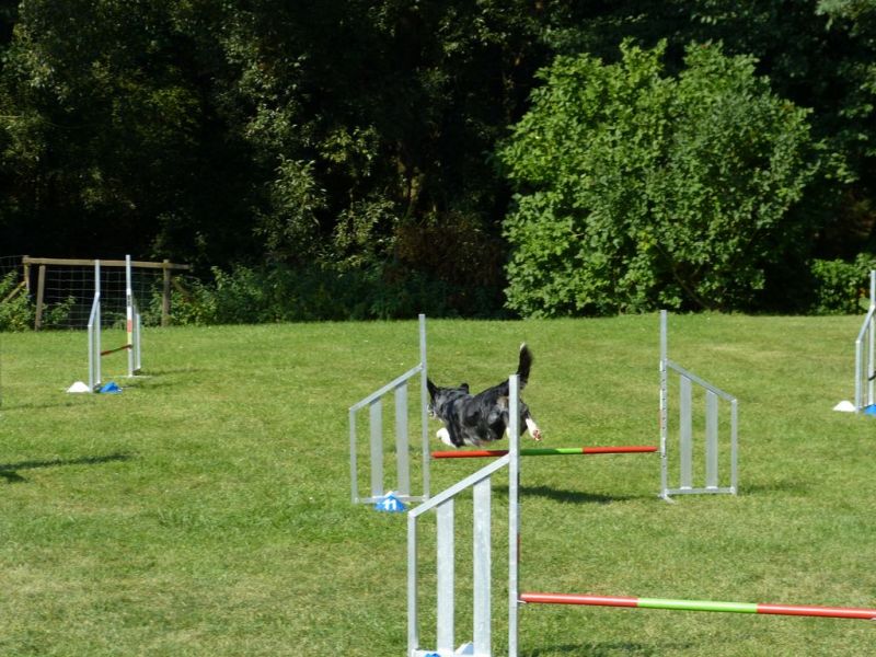 Sommerfest 2019
