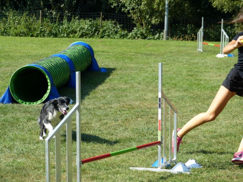 Sommerfest 2019