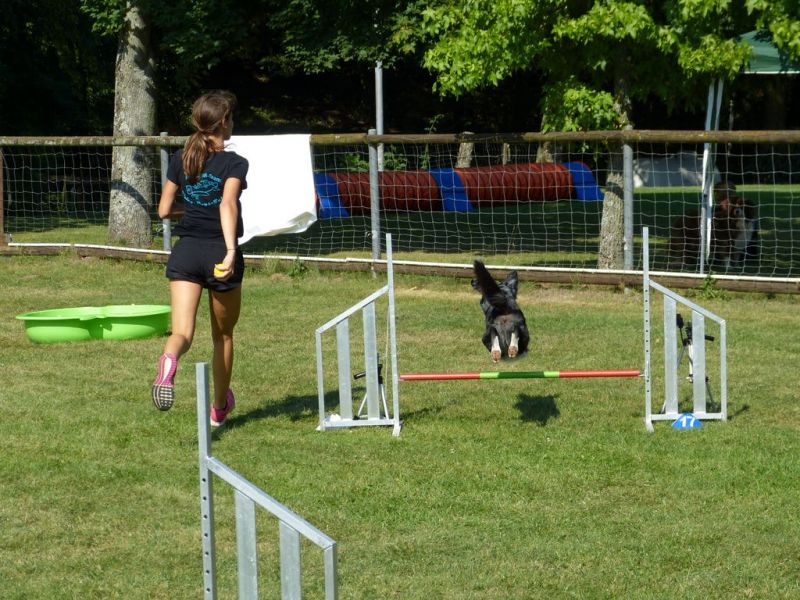 Sommerfest 2019