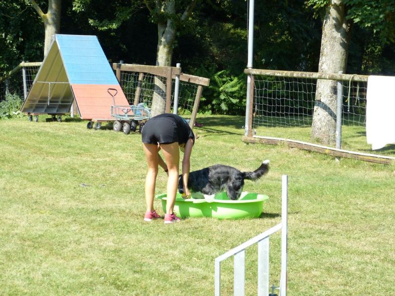 Sommerfest 2019