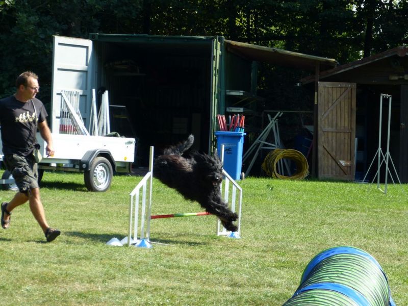 Sommerfest 2019
