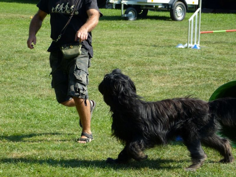 Sommerfest 2019