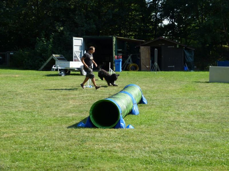 Sommerfest 2019