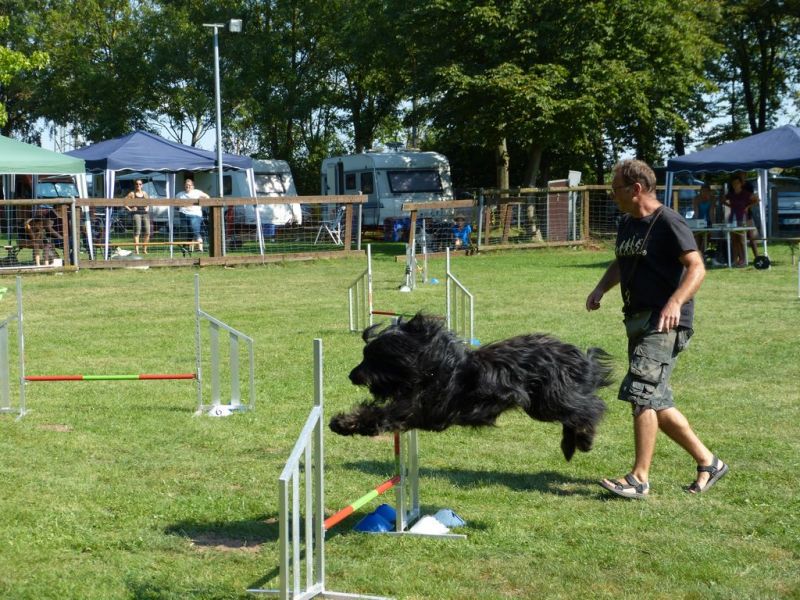 Sommerfest 2019