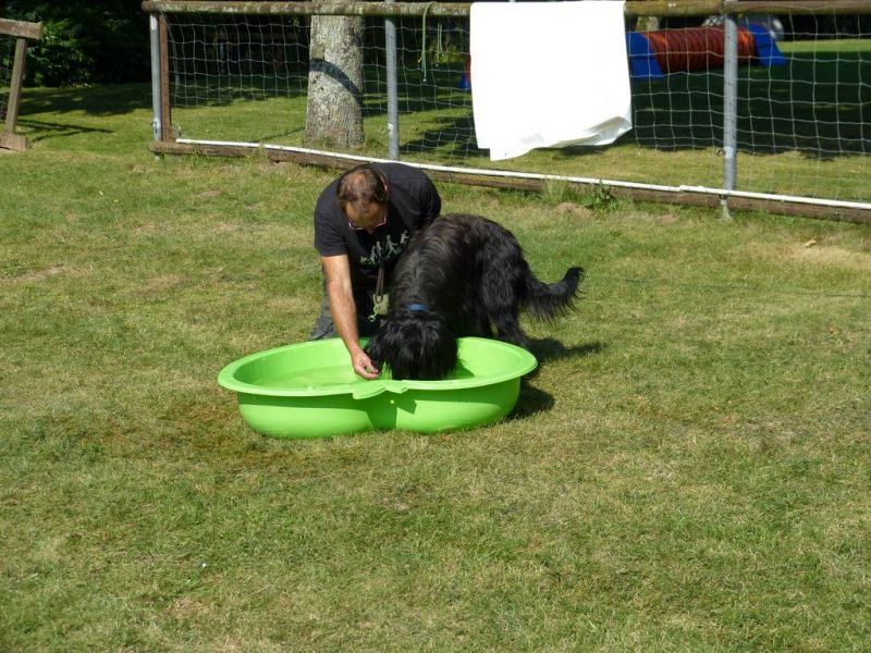 Sommerfest 2019