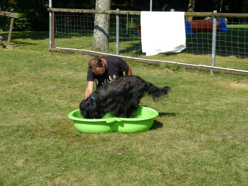 Sommerfest 2019