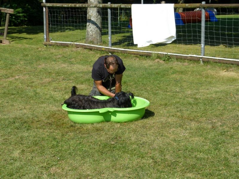 Sommerfest 2019