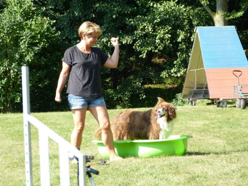 Sommerfest 2019