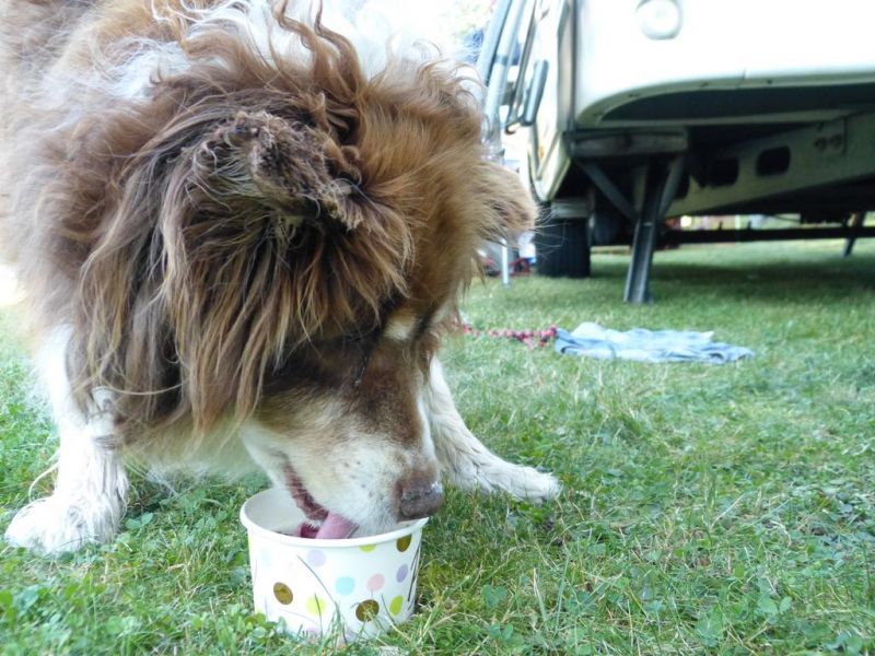 Sommerfest 2019