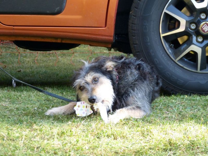 Sommerfest 2019