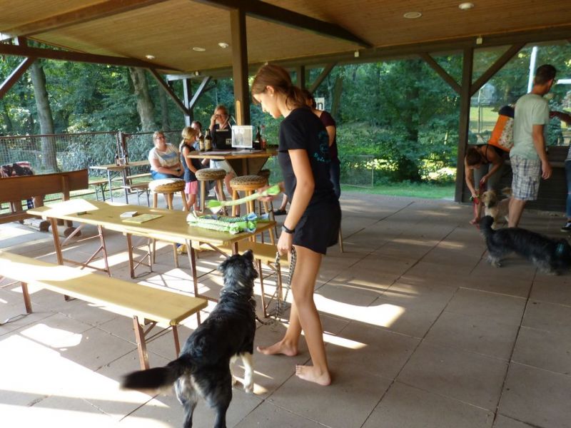 Sommerfest 2019