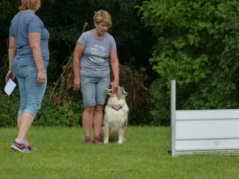 Sommerfest 2019