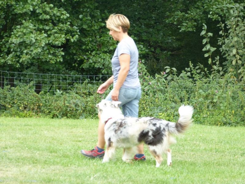 Sommerfest 2019