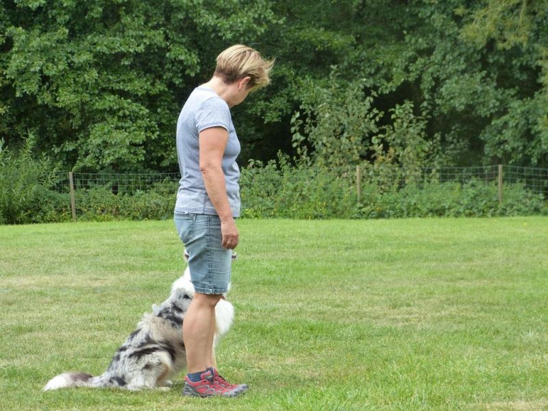 Sommerfest 2019