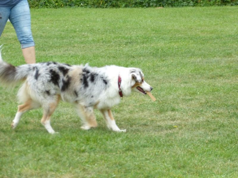 Sommerfest 2019