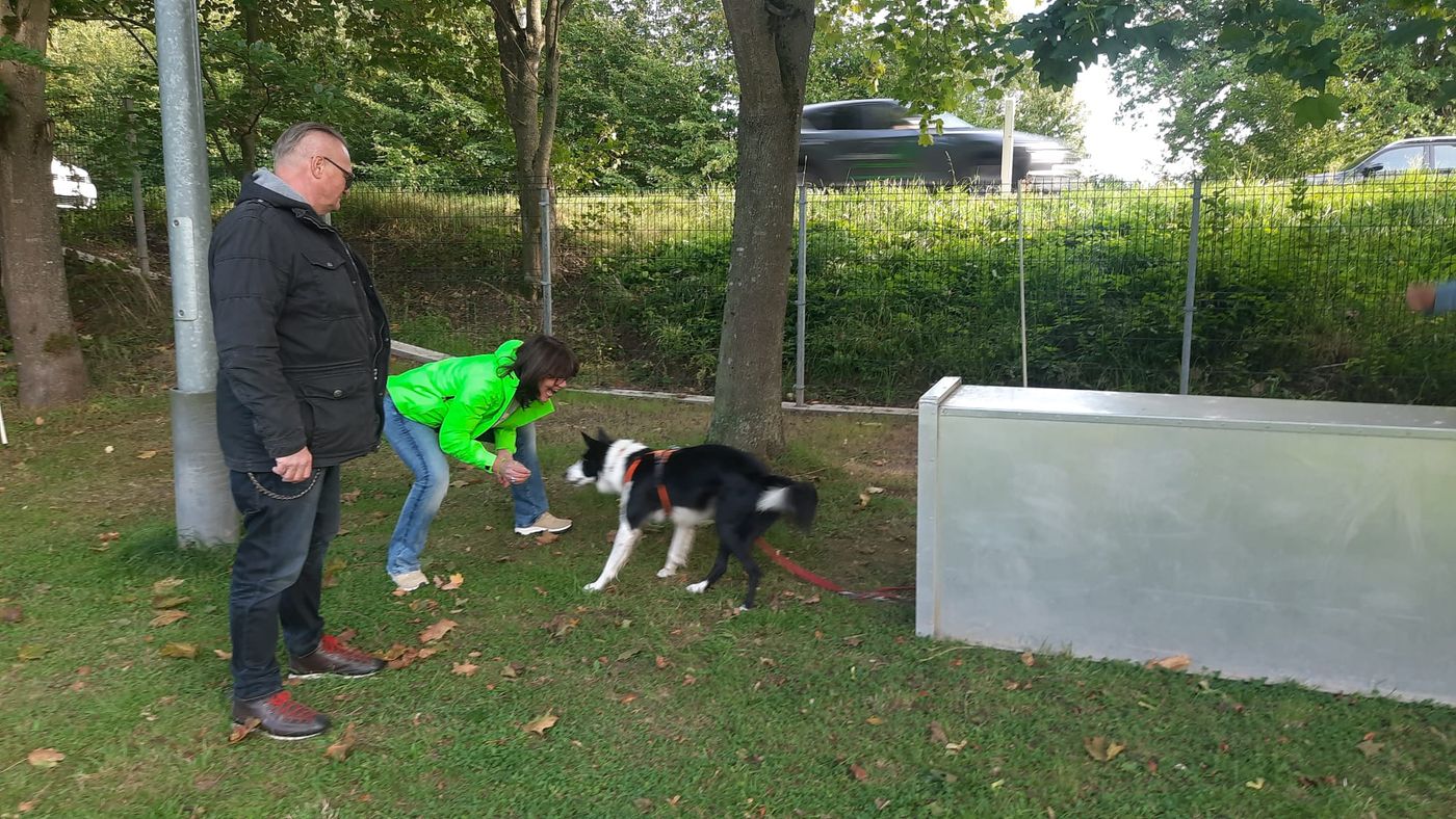 Sommerfest 2023