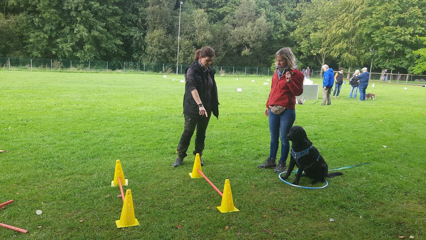 Sommerfest 2023