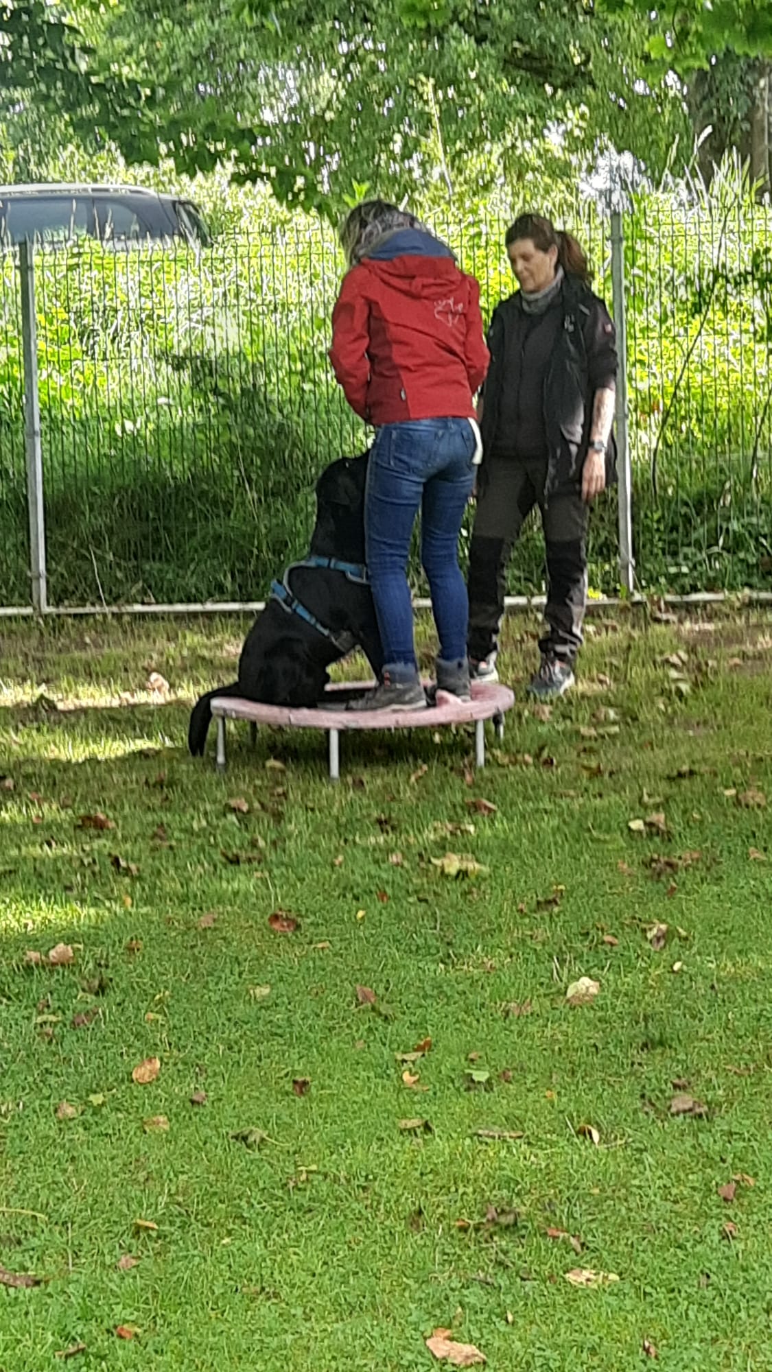 Sommerfest 2023