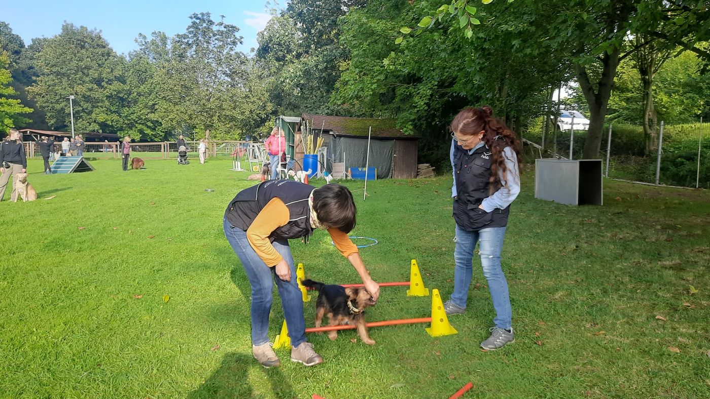 Sommerfest 2023