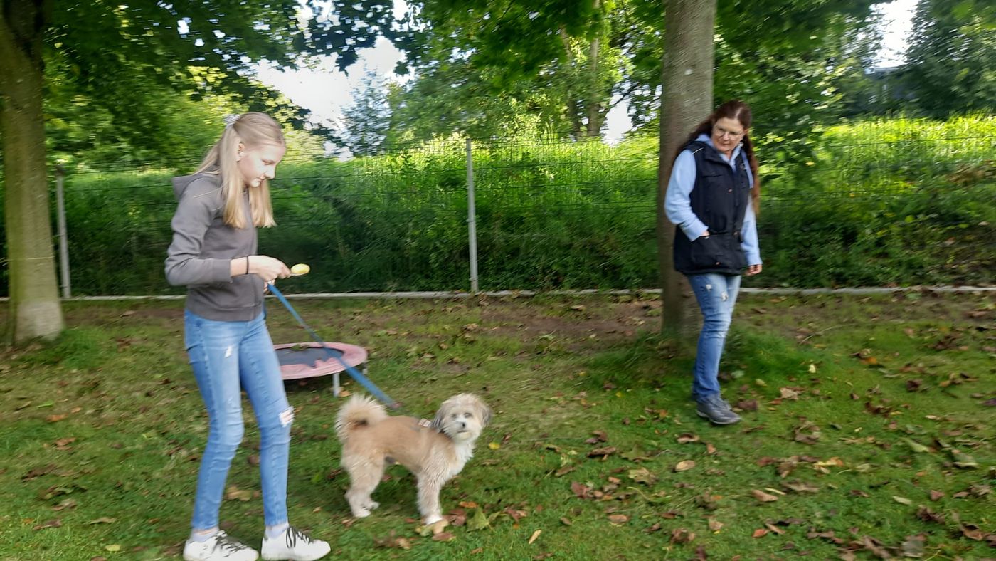Sommerfest 2023