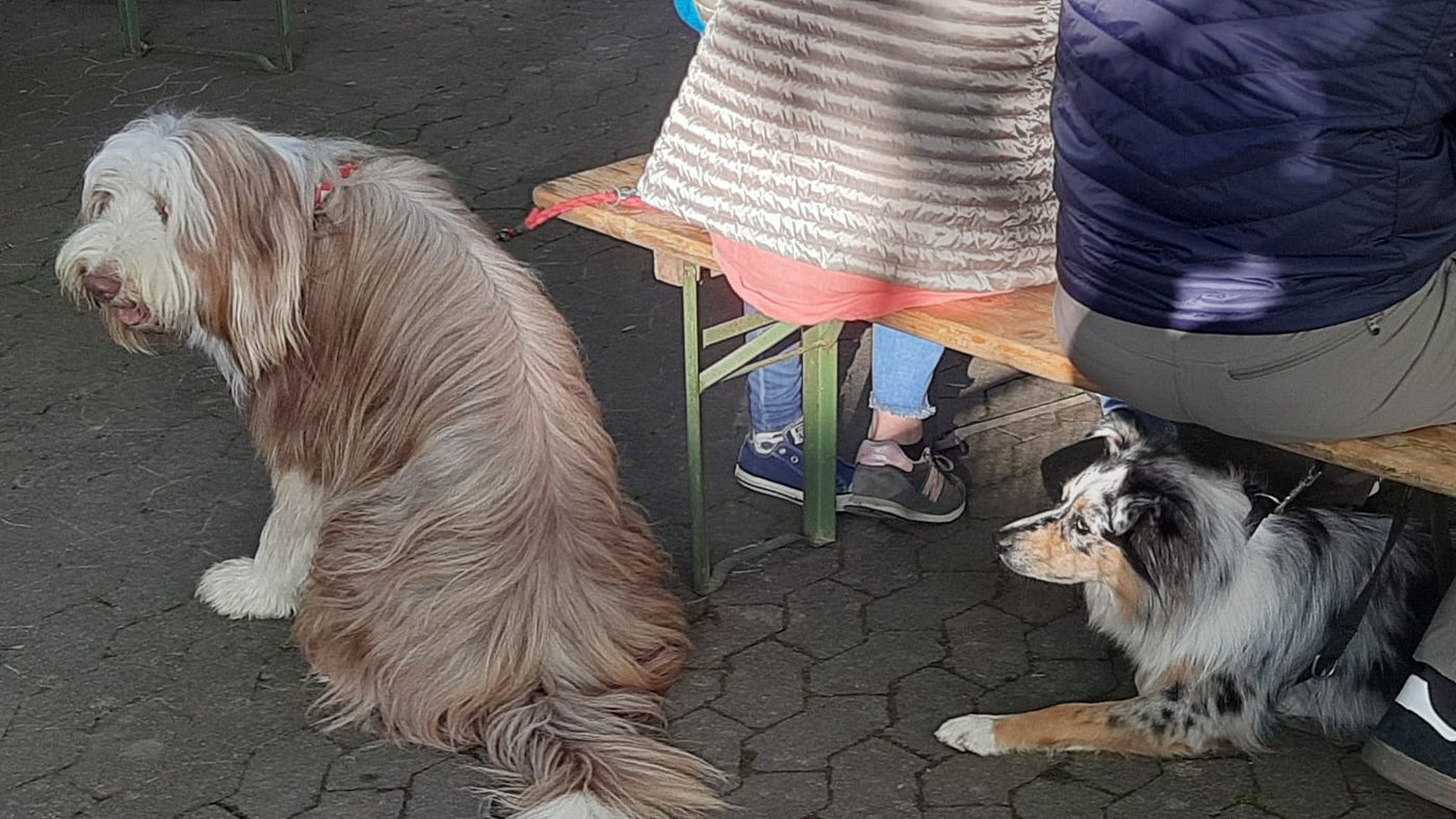 Sommerfest 2023